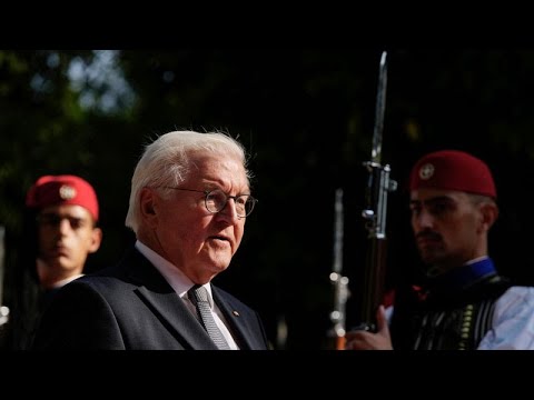 Bundespräsident Steinmeier löst Bundestag auf - Neuwahl am 23. Februar
