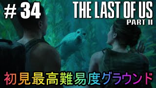 #34【The Last of Us Part II】初見最高難易度グラウンドで美少女たちが暴れん坊将軍