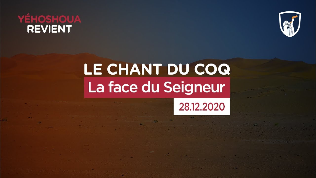 Thumbnail of video: La face du Seigneur