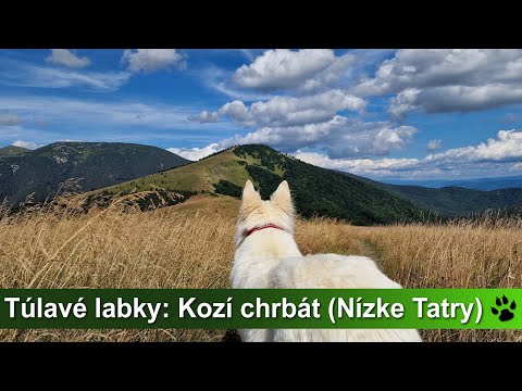 Túlavé labky: Kozí chrbát (Nízke Tatry)