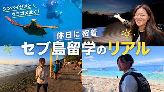 深夜1時発。往復10時間かけてジンベエザメに会いに行く留学生の休日。