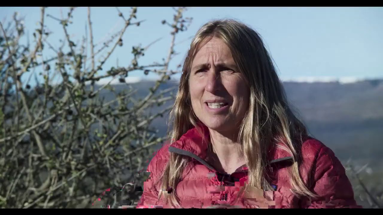 Una semana con dos novedades, una argentina, la otra italiana