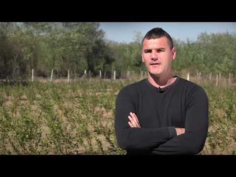 Agro karavan ep. 94 20.10.2019.  Golubac