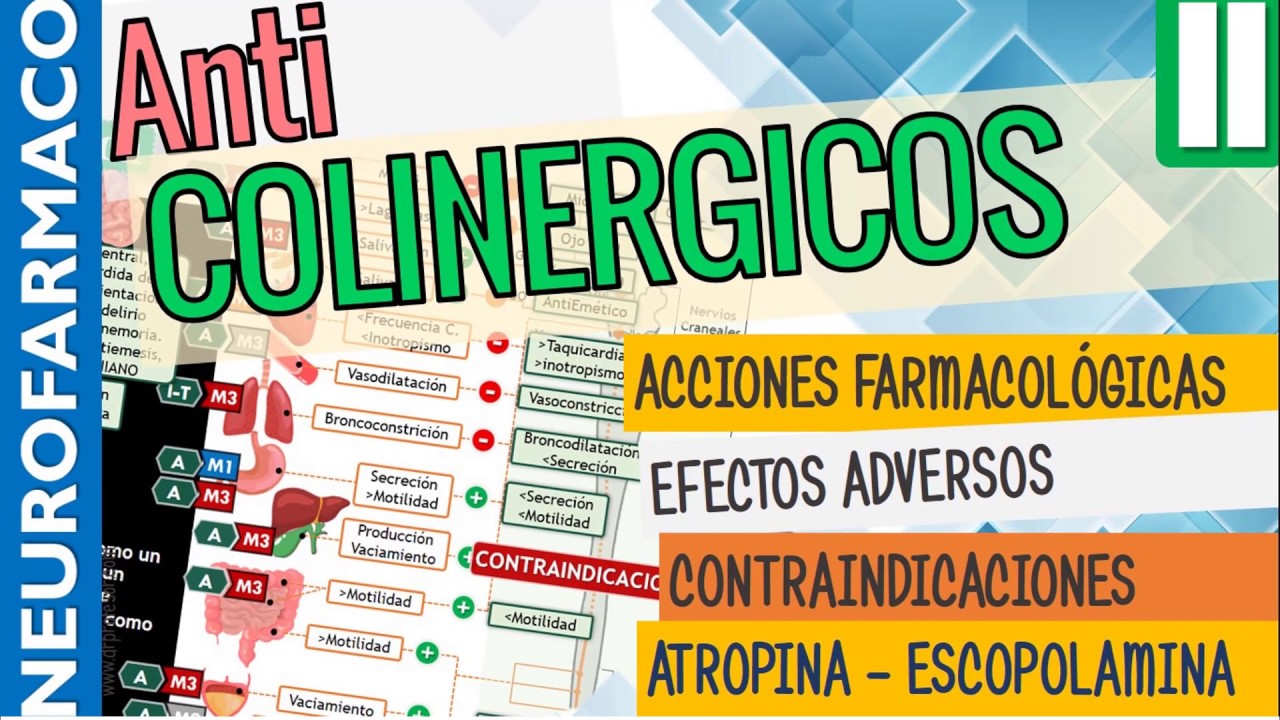 Antimuscarínicos, EFECTOS SISTÉMICOS, ACCIÓN FARMACOLÓGICA, Naturales ATROPINA ESCOPOLAMINA |Parte2