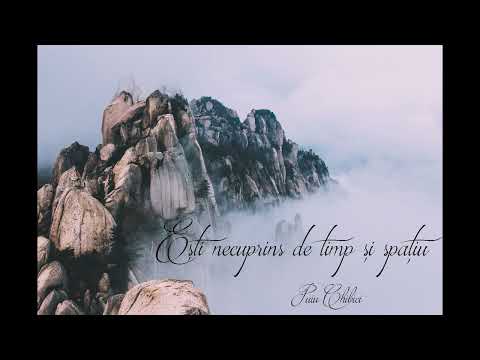 Album (10) Ești necuprins de timp și spațiu - Puiu Chibici