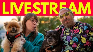 🔴 Our First Livestream of 2025! Exciting Plans For This Year!