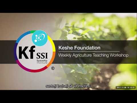 2017 11 08 PM Public Teaching in Romanian - Cursuri publice în română