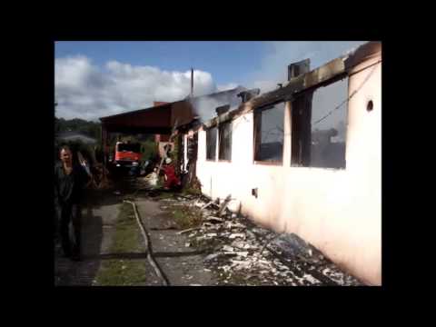 Incendiu la un depozit de lemne din Darmanesti