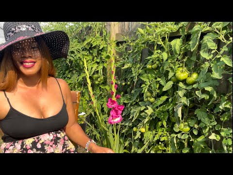 "Late Summer Gardening: July Planting Guide for a Flourishing Garden"