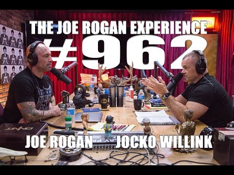 Joe and Jocko speaking