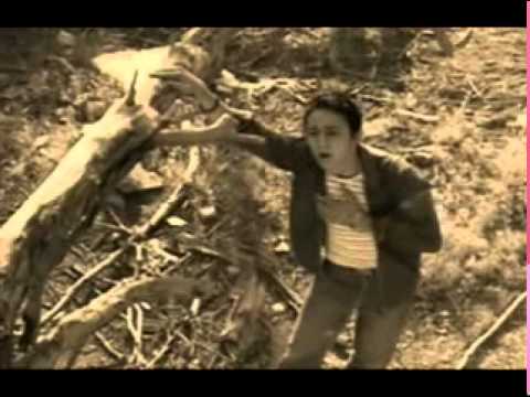 Chavoshi, Ameri, Farzin, Moghadam & Modares - Poshtesahne