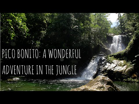 Don't Miss This Jungle Adventure In Honduras!