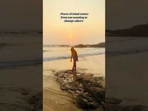 Golden hour magical 🌅 #travel #shorts #shortvideo #trending #sunset #viralvideo #beach