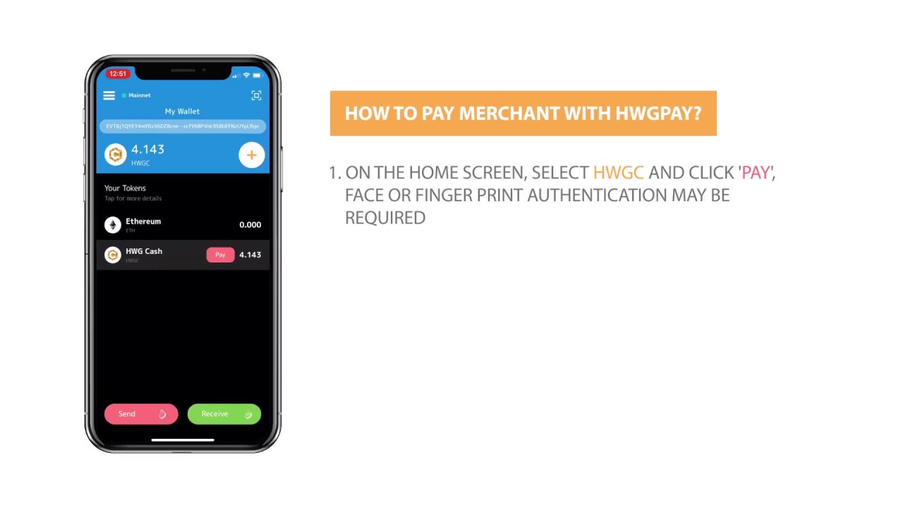 How to Get Started with HwgPay?