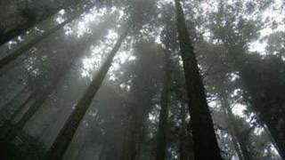 Canaan - To those who cried