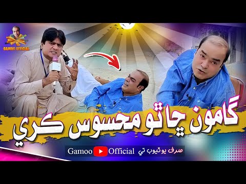Gamoo Sha Tho Mahesoos Kare | Asif Pahore (Gamoo) | Sohrab Soomro | Gamoo New Video | 2024