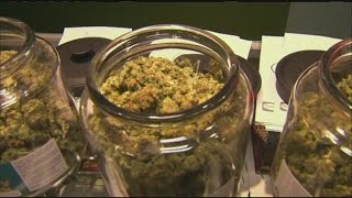 Recreational Marijuana legalized in Massachusetts
