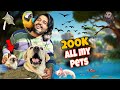 200k Subscribers special vlog l All My Pet Animals Birds and Fishes l Doggo Sage l Rafid Hoque Swad