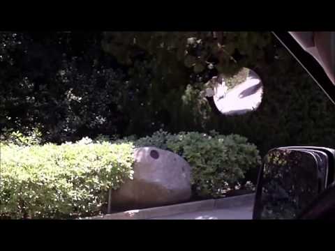 Cazare Branesti - Cazat.ro