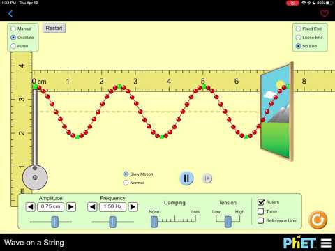 Create Stunning Wave On String Phet A4 Prints