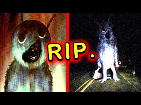 The HORROR of the "Mr. Mascot" Entity...