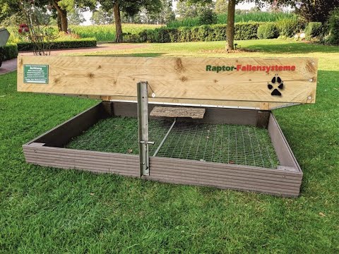 Raptor Kofferfalle