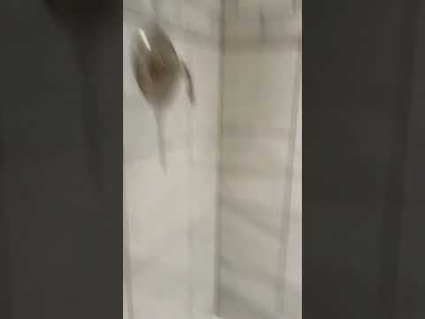 Ashima Is about to take a shower not￼