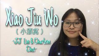 小酒窩 (Small Dimples) - JJ Lin &amp; Charlene Choi (COVER)
