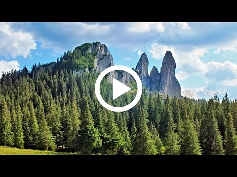 TRANSRARĂUL, "Drumul comorilor" un pariu câştigat.