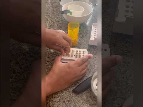 Mushroom Microdosing Capsules
