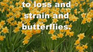 Loss, strain and butterflies - Thabita's Secret