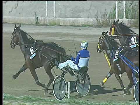 Trotto 15/10/2017 - 4ª corsa