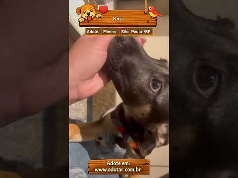 Vídeo de Kira