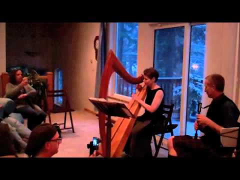 Promotional video thumbnail 3 for Celtic Harp Music by Anne Roos