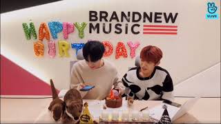 190129 Daehwi &amp; Woojin VLIVE - ‘Candle’ Release