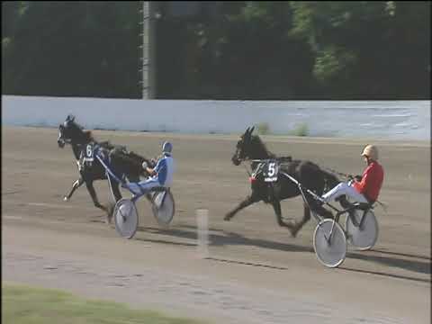 Trotto 22/10/2019 - 3ª corsa