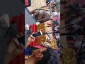 Kuda Lumping Banyumasan