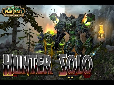 Hunter Solo- Derping ICC 10H Lich King