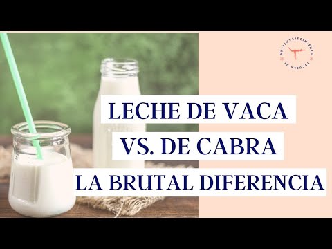 , title : 'Beneficios de la LECHE de CABRA vs LECHE de VACA 🐮 ¿Cuál es más saludable? | Diferencias'