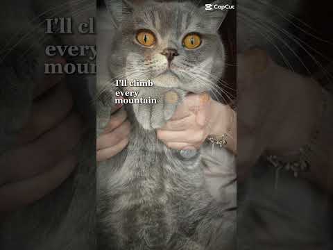 who would u risk you life for?