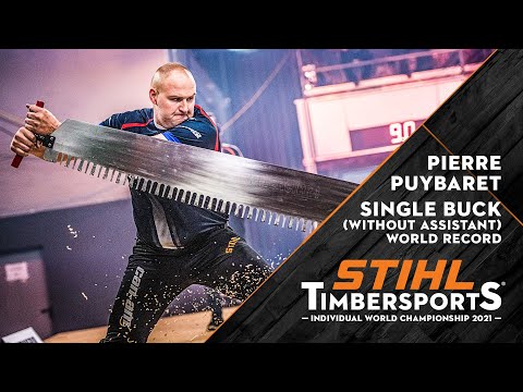 Single Buck (without assistant) World Record // STIHL TIMBERSPORTS®