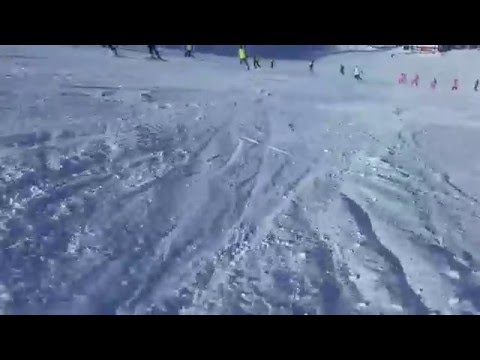 Paganella from top (2125m) to bottom (1030m)