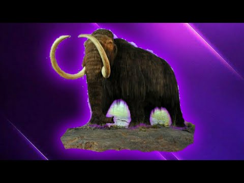 música de Richard abelha | mamute