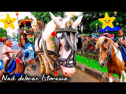 Naik kuda delman Istimewa | Lagu anak indonesia populer | Kuda | Kuda delman