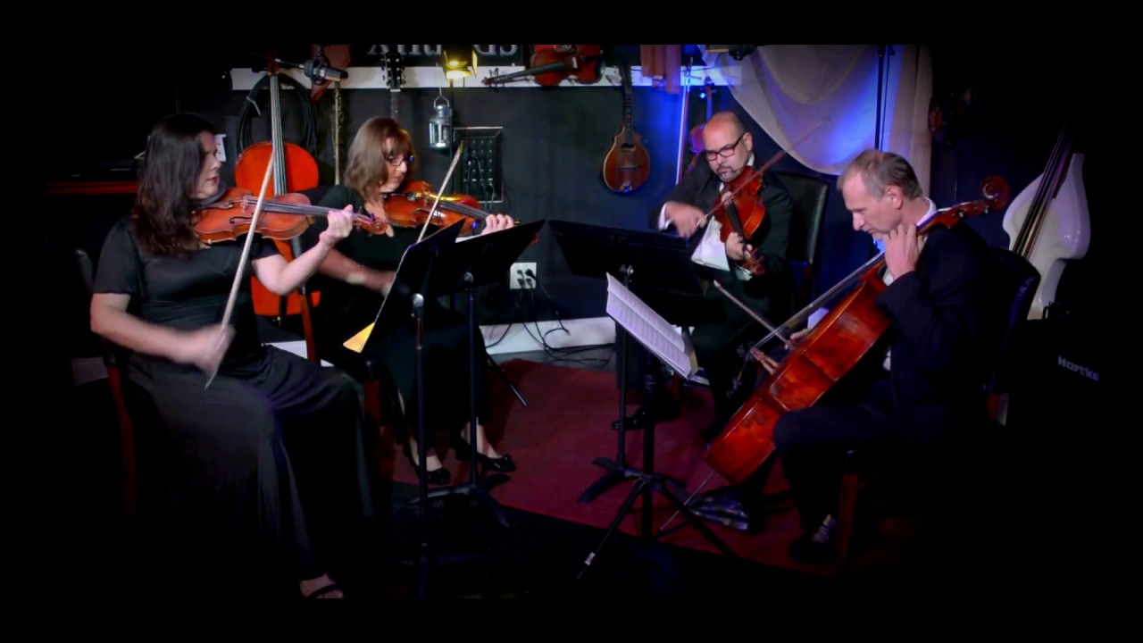 Promotional video thumbnail 5 for Eleganza Strings