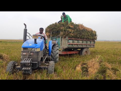 New holland 4710 tractor heavy load | tractor bd | tractor video | tractor