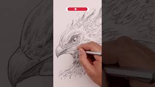 How to Draw a Phoenix : Step-by-Step Pencil Sketch Tutorial for Beginners