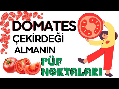 , title : 'DOMATES'İN ÇEKİRDEĞİNİ ALMANIN PÜF NOKTALARI / Talha Uğurluel'