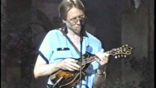 Austin Lounge Lizards - The Car Hank Died In