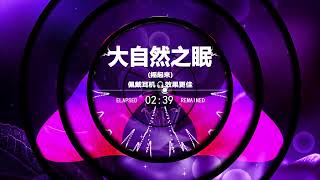 越南鼓重低音DJ🎧劲爆经典舞曲合集🔥大自然之眠Funky Remix 2025 抖音TikTok爆红节奏